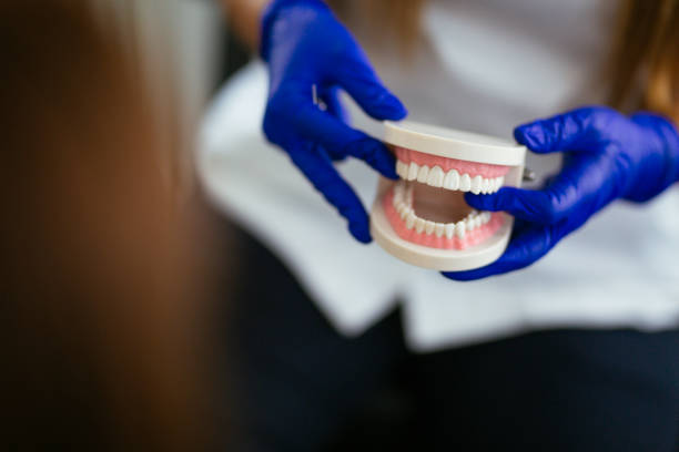 Professional  Holistic Dental Services in Hudson Bend, TX